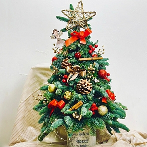 X209 Christmas Tree  ( sold out )
